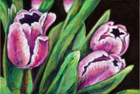 "Three Tulips" 